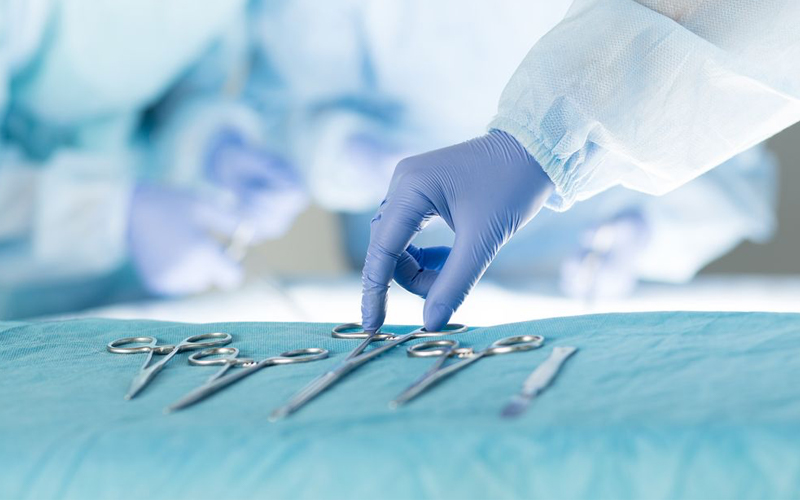 Mastery Refined by Real-World Wisdom